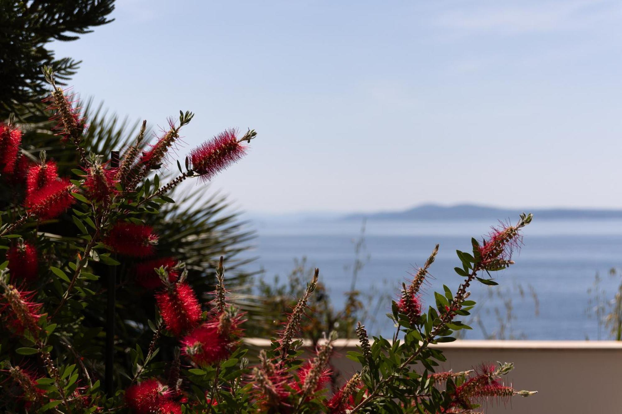 Apartments Wisibada Trogir Ngoại thất bức ảnh